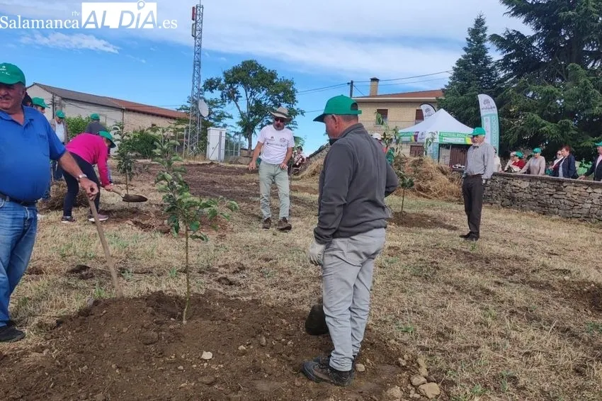 Foto 7 - Cerralbo tambi&eacute;n se suma al programa 'Arboleda'