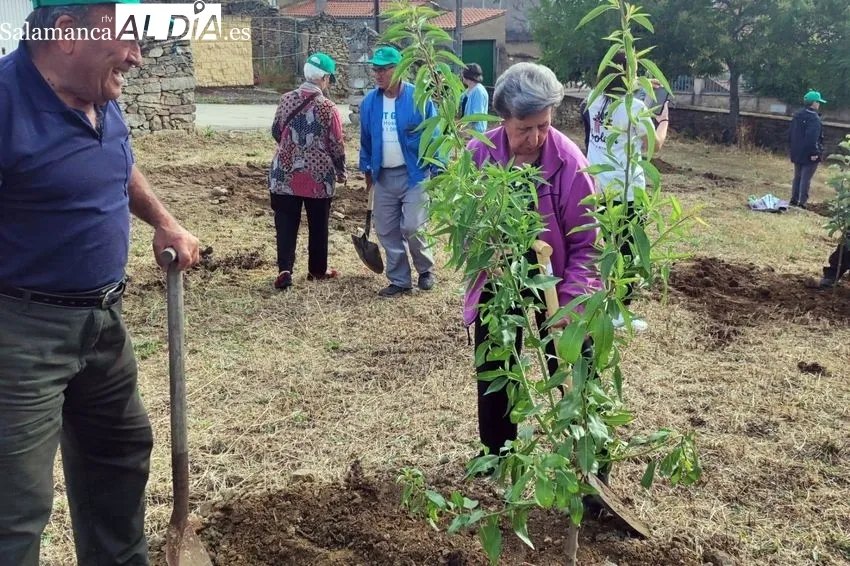 Foto 5 - Cerralbo tambi&eacute;n se suma al programa 'Arboleda'
