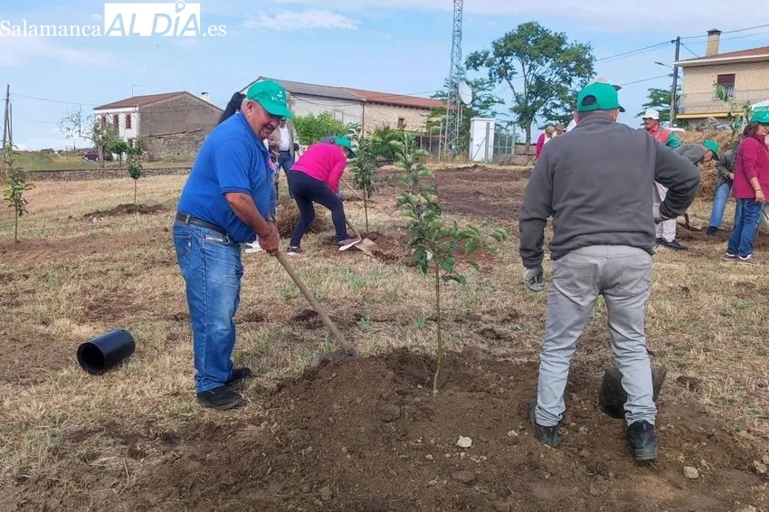 Foto 2 - Cerralbo tambi&eacute;n se suma al programa 'Arboleda'