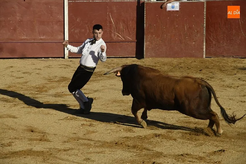 Foto 18 - Un concurso de recortes anima la tarde de Corpus sabatina en Sancti Sp&iacute;ritus