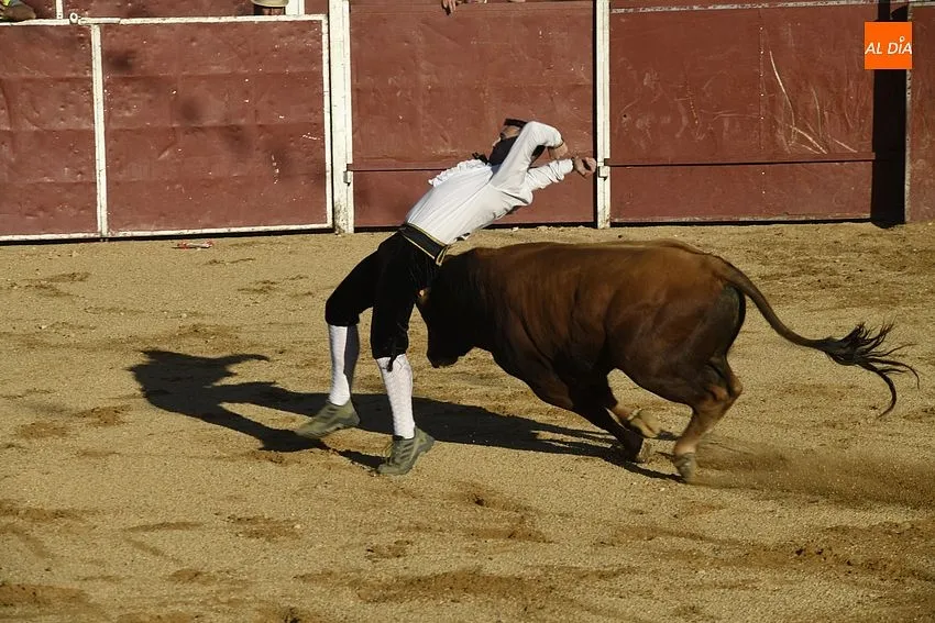 Foto 16 - Un concurso de recortes anima la tarde de Corpus sabatina en Sancti Sp&iacute;ritus