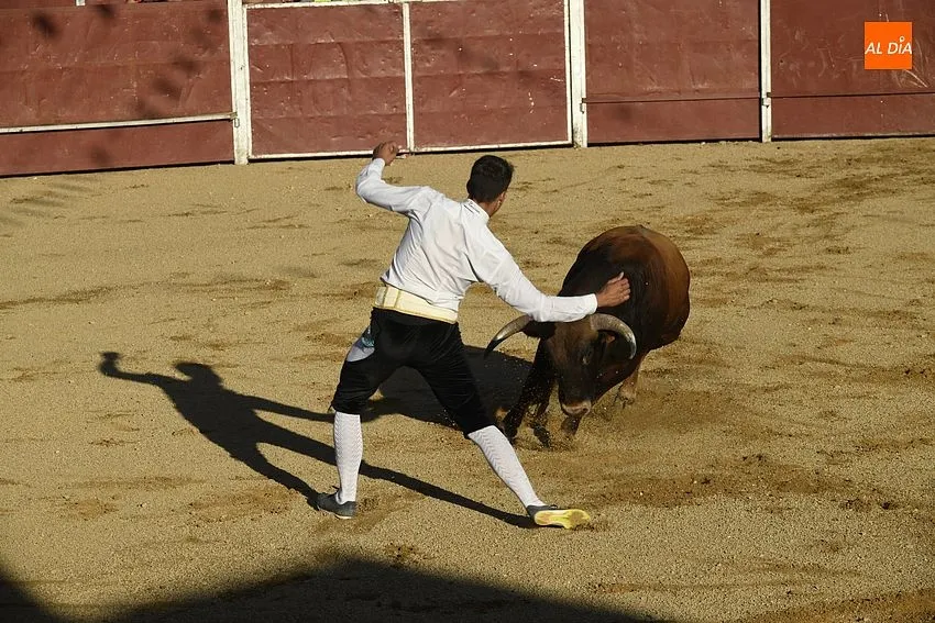 Foto 15 - Un concurso de recortes anima la tarde de Corpus sabatina en Sancti Sp&iacute;ritus