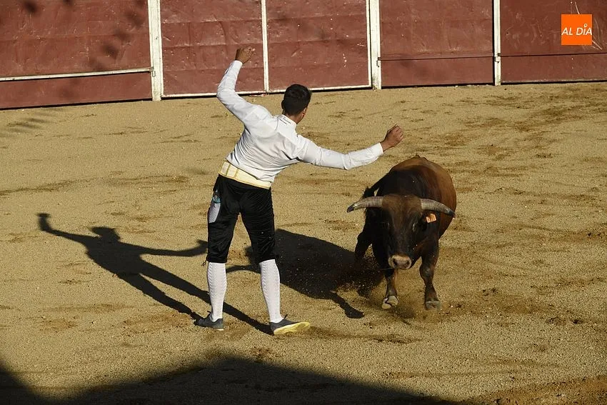 Foto 14 - Un concurso de recortes anima la tarde de Corpus sabatina en Sancti Sp&iacute;ritus