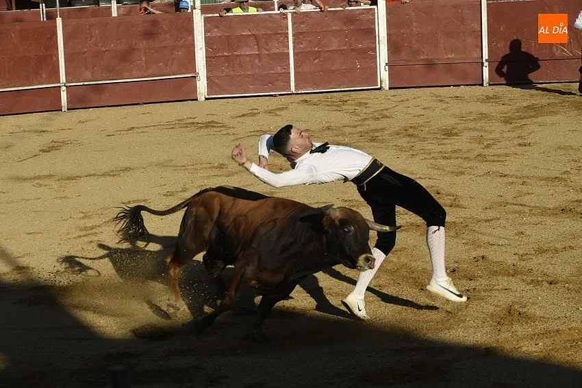 Foto 12 - Un concurso de recortes anima la tarde de Corpus sabatina en Sancti Sp&iacute;ritus