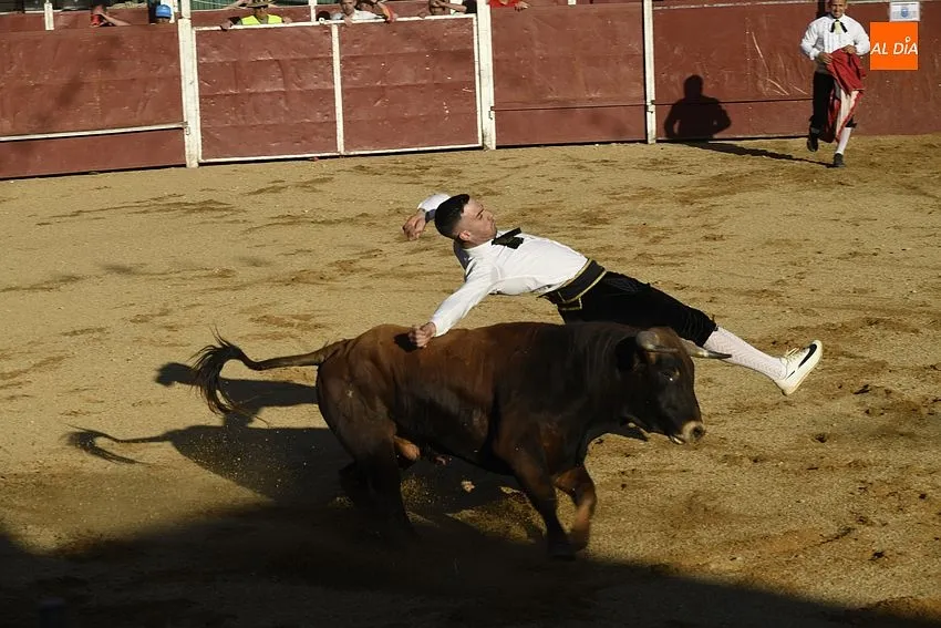 Foto 11 - Un concurso de recortes anima la tarde de Corpus sabatina en Sancti Sp&iacute;ritus