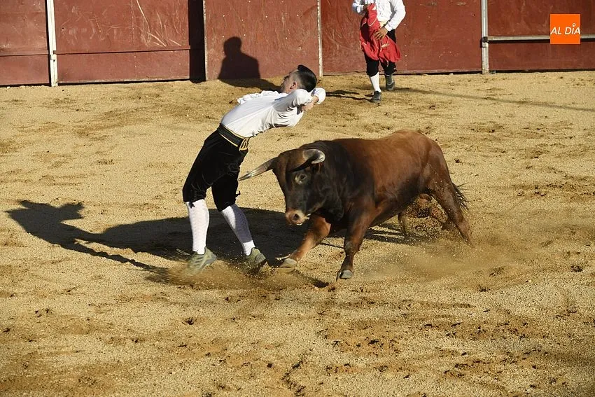 Foto 7 - Un concurso de recortes anima la tarde de Corpus sabatina en Sancti Sp&iacute;ritus