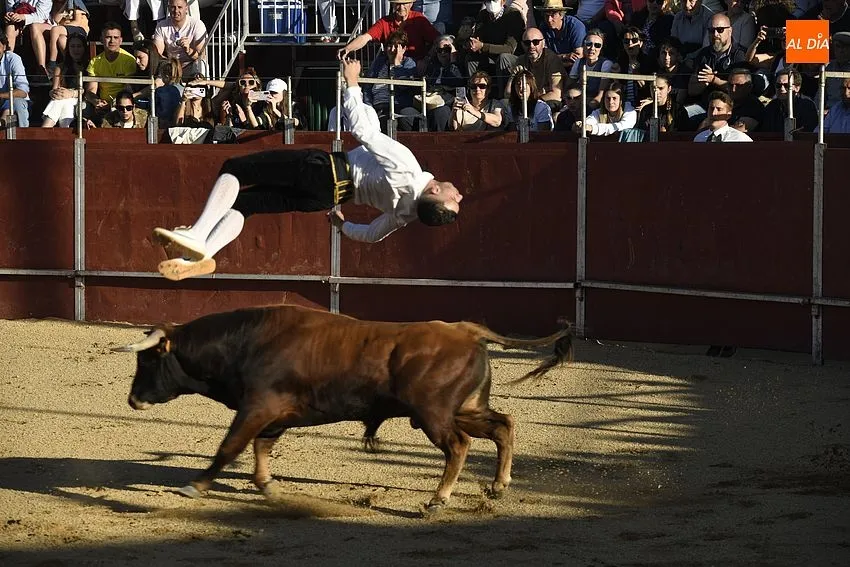 Foto 4 - Un concurso de recortes anima la tarde de Corpus sabatina en Sancti Sp&iacute;ritus