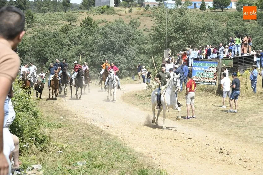 Encierro a caballo en EL Payo/ Fotos: Adrián M.Pastor
