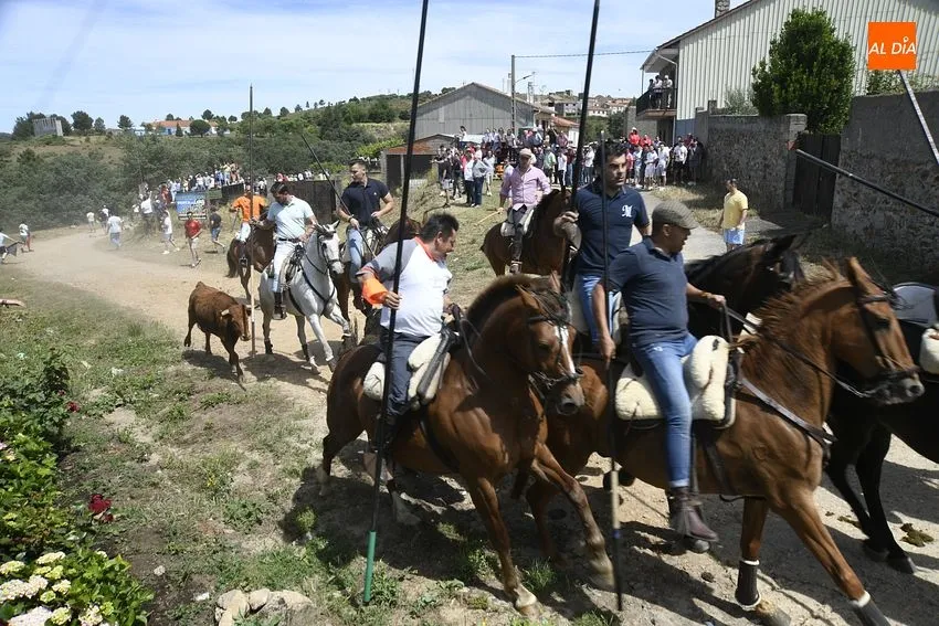 Encierro a caballo en EL Payo/ Fotos: Adrián M.Pastor