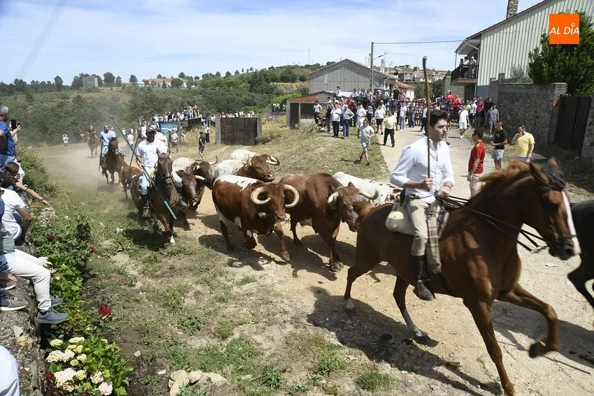Encierro a caballo en EL Payo/ Fotos: Adrián M.Pastor
