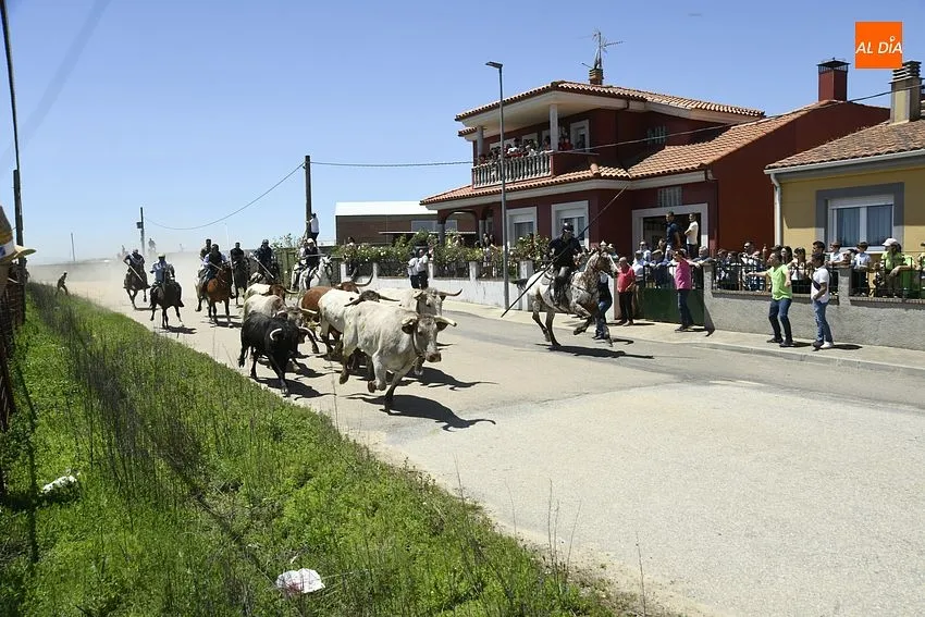 Encierro a caballo y comida popular para cerrar la fiestas del Corpus/ Foto: Adrián M.Pastor