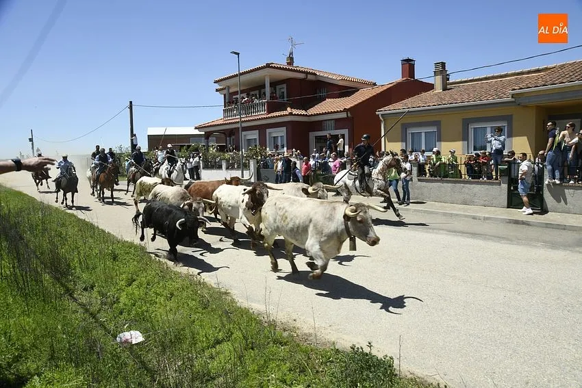 Encierro a caballo y comida popular para cerrar la fiestas del Corpus/ Foto: Adrián M.Pastor