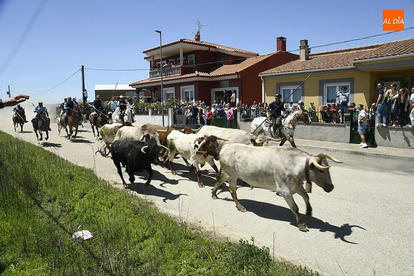 Encierro a caballo y comida popular para cerrar la fiestas del Corpus/ Foto: Adrián M.Pastor