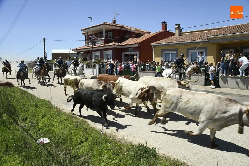 Encierro a caballo y comida popular para cerrar la fiestas del Corpus/ Foto: Adrián M.Pastor