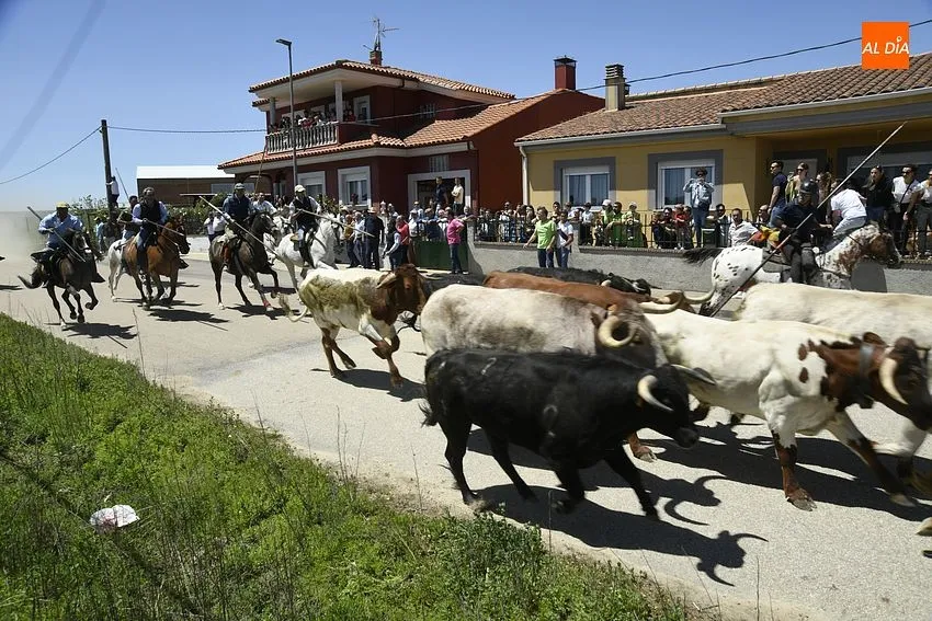 Encierro a caballo y comida popular para cerrar la fiestas del Corpus/ Foto: Adrián M.Pastor