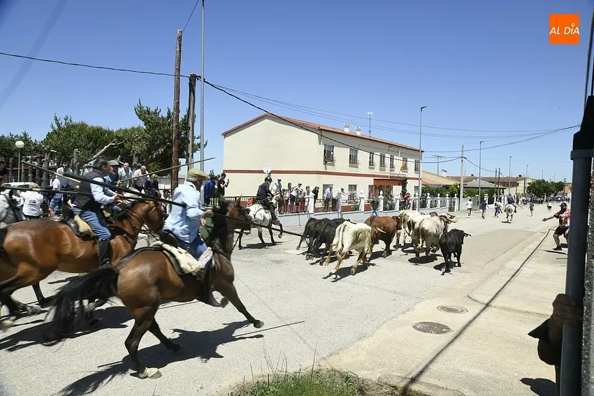 Encierro a caballo y comida popular para cerrar la fiestas del Corpus/ Foto: Adrián M.Pastor