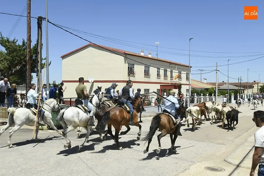Encierro a caballo y comida popular para cerrar la fiestas del Corpus/ Foto: Adrián M.Pastor