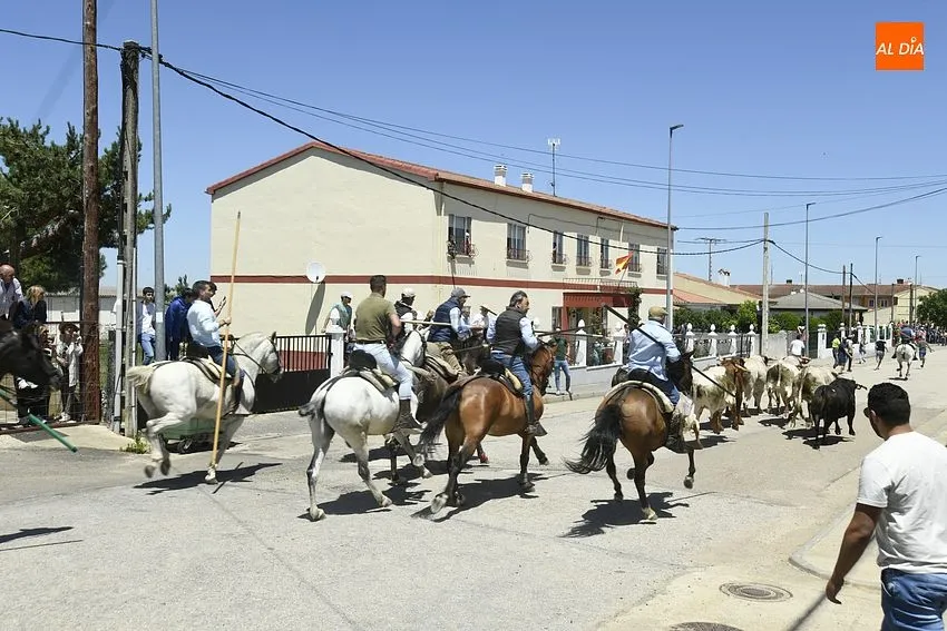 Encierro a caballo y comida popular para cerrar la fiestas del Corpus/ Foto: Adrián M.Pastor