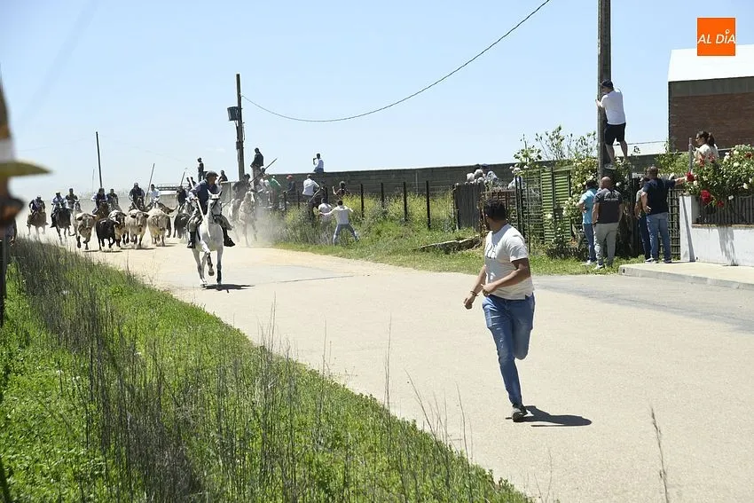 Encierro a caballo y comida popular para cerrar la fiestas del Corpus/ Foto: Adrián M.Pastor
