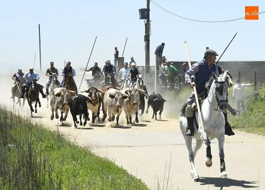 Encierro a caballo y comida popular para cerrar la fiestas del Corpus/ Foto: Adrián M.Pastor