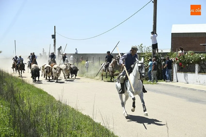 Encierro a caballo y comida popular para cerrar la fiestas del Corpus/ Foto: Adrián M.Pastor