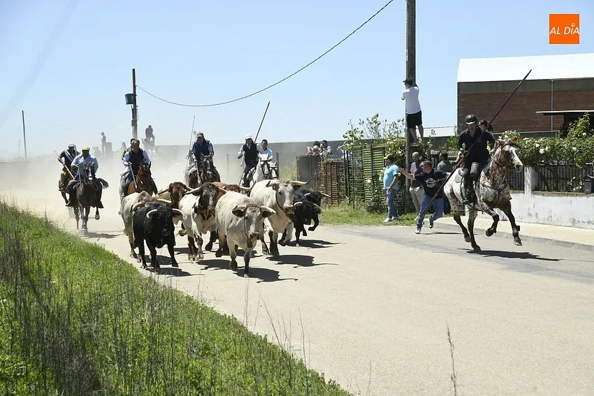 Encierro a caballo y comida popular para cerrar la fiestas del Corpus/ Foto: Adrián M.Pastor