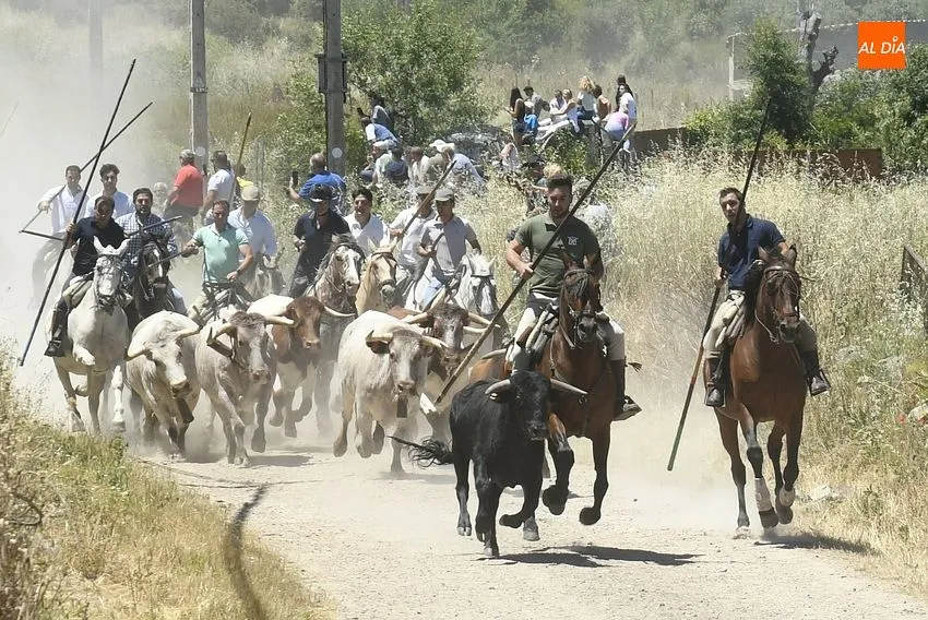 Encierro a caballo en Martín de Yeltes/ Fotos: Adrián M.Pastor