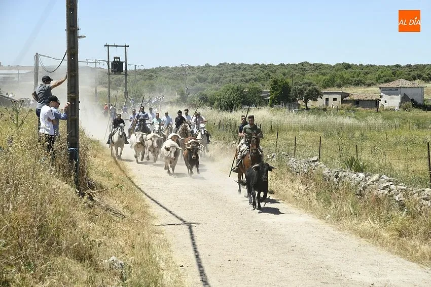 Encierro a caballo en Martín de Yeltes/ Fotos: Adrián M.Pastor