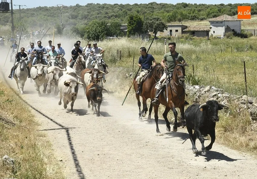 Encierro a caballo en Martín de Yeltes/ Fotos: Adrián M.Pastor