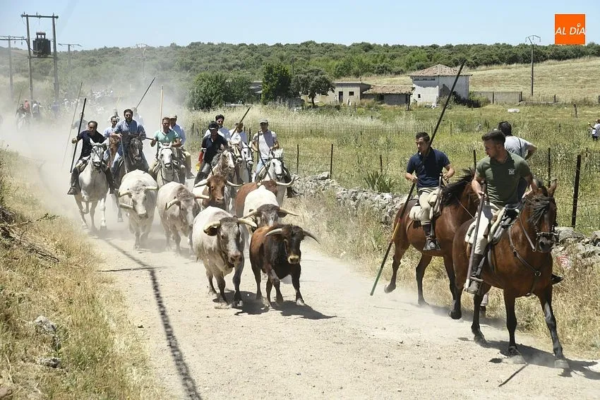 Encierro a caballo en Martín de Yeltes/ Fotos: Adrián M.Pastor