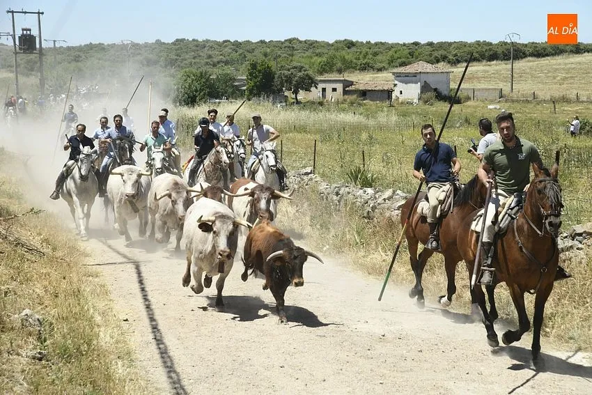 Encierro a caballo en Martín de Yeltes/ Fotos: Adrián M.Pastor