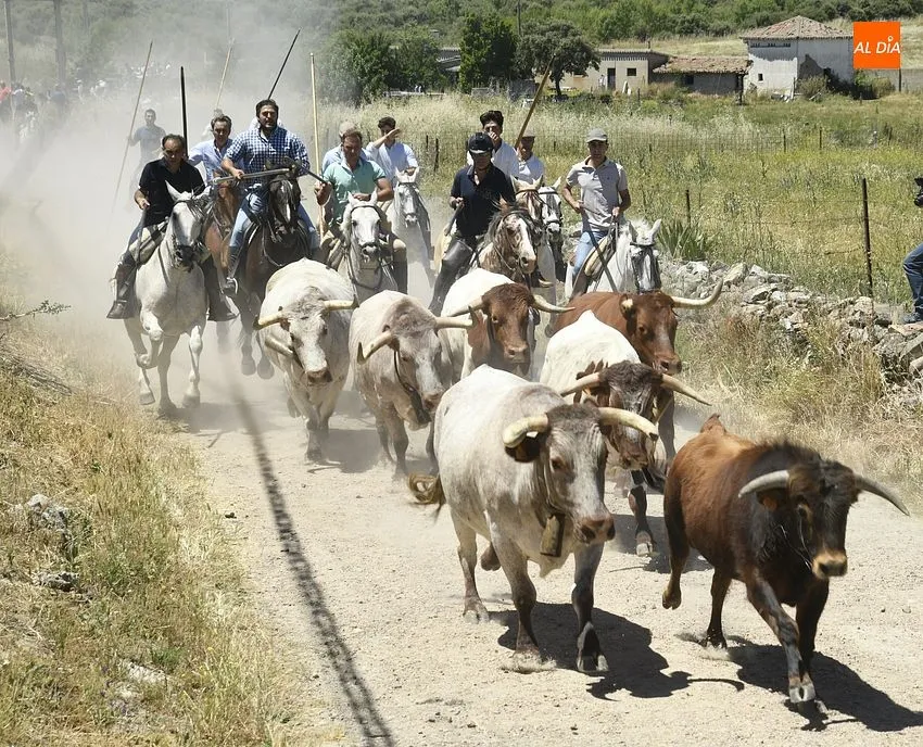 Encierro a caballo en Martín de Yeltes/ Fotos: Adrián M.Pastor