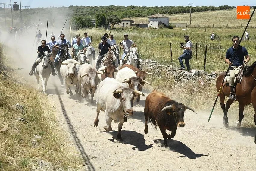 Encierro a caballo en Martín de Yeltes/ Fotos: Adrián M.Pastor