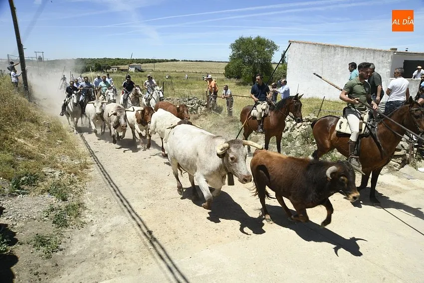 Encierro a caballo en Martín de Yeltes/ Fotos: Adrián M.Pastor