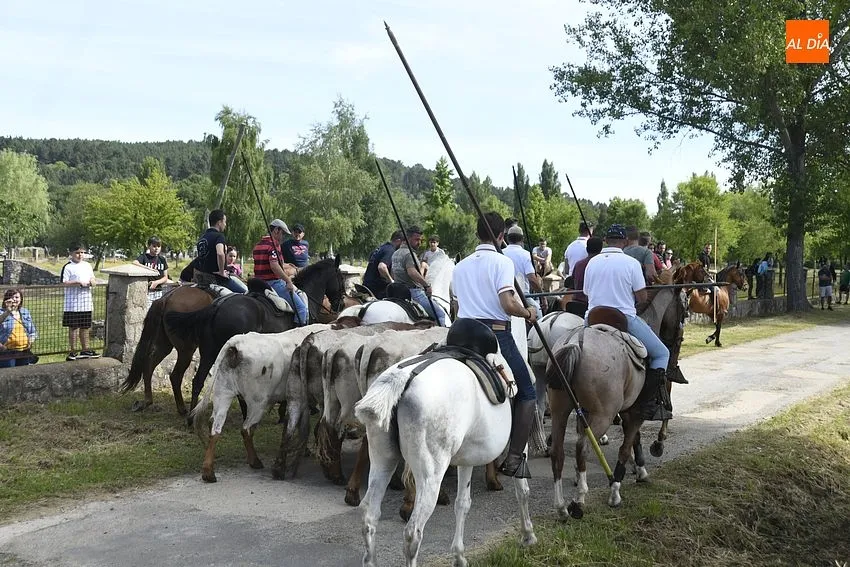Encierro a caballo en Navasfrías/ Fotos: Adrián M.Pastor