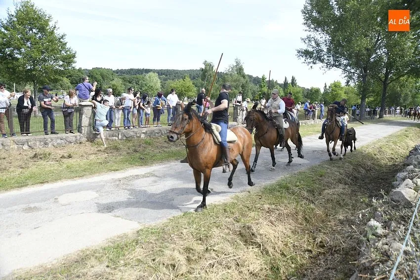 Encierro a caballo en Navasfrías/ Fotos: Adrián M.Pastor