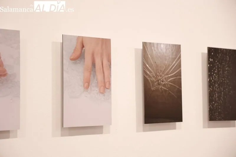 Exposición ‘Algunas quedarán sueltas’, de Susana Pérez Gilbert, en el Da2. Foto: David Sañudo