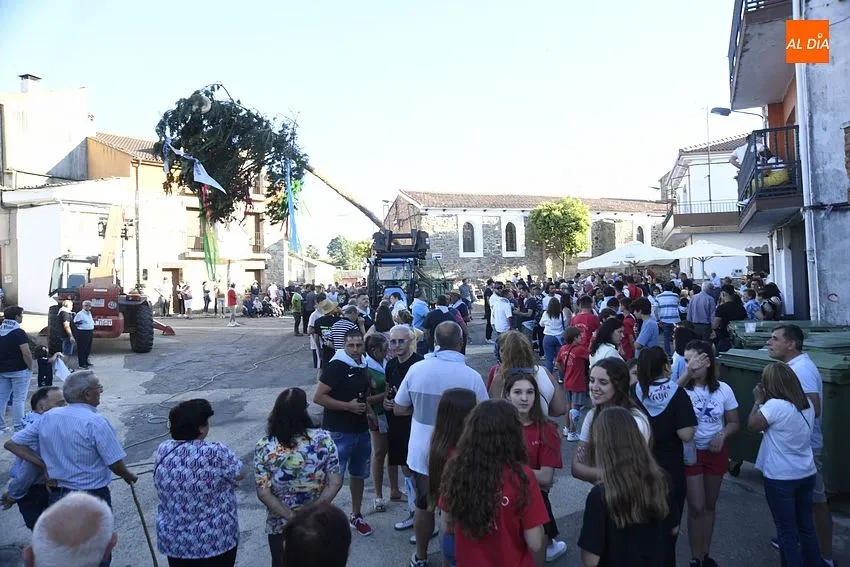 Izado de la viga en El Payo por San Juan/ Fotos: Adrián M.Pastor
