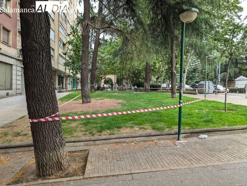 Cierre de la zona arbolada del paseo de Carmelitas. Foto de David Sañudo