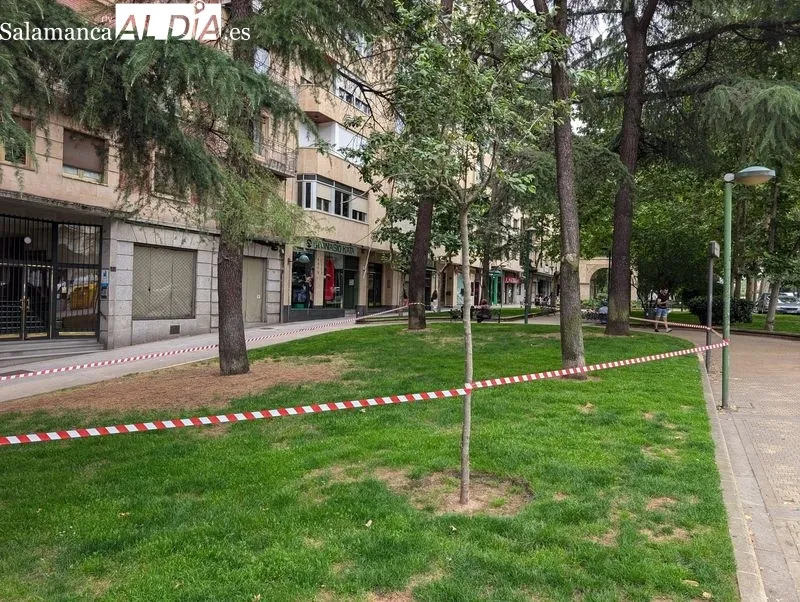 Cierre de la zona arbolada del paseo de Carmelitas. Foto de David Sañudo