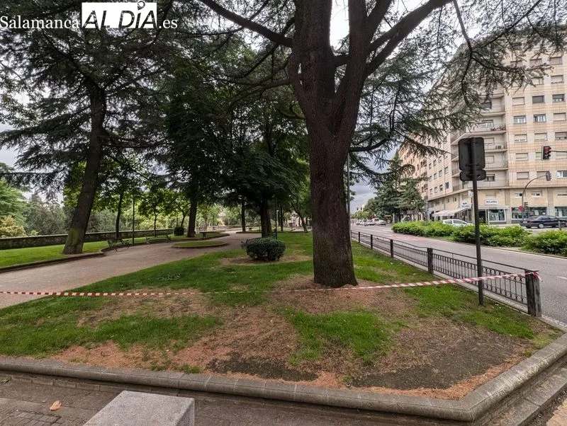 Cierre de la zona arbolada del paseo de Carmelitas. Foto de David Sañudo