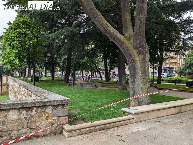 Cierre de la zona arbolada del paseo de Carmelitas. Foto de David Sañudo