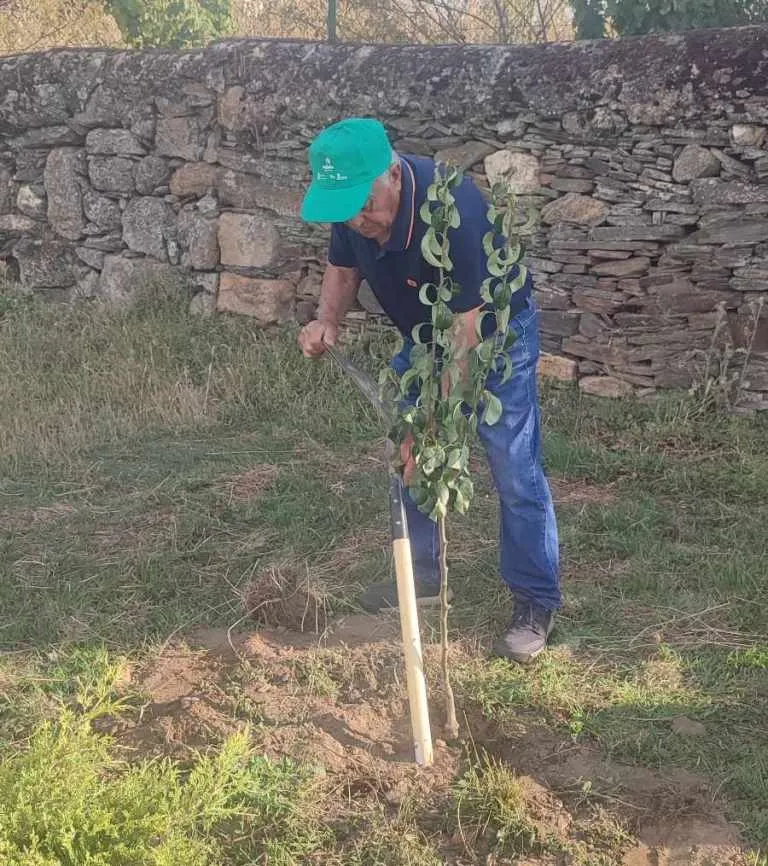 Foto 8 - Barquilla incorpora nuevos &aacute;rboles frutales a&ntilde;adi&eacute;ndoles los deseos de los vecinos