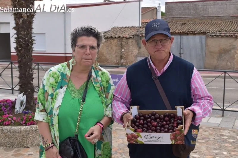 Foto 2 - Cuarenta kilos de cerezas para el tradicional d&iacute;a de &lsquo;Los Guinderos&rsquo;