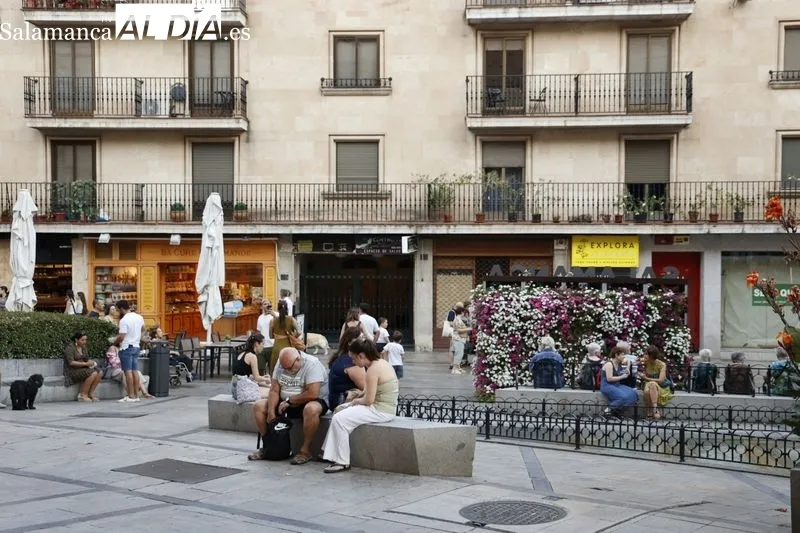 Foto 18 - Los salmantinos buscan la sombra en las terrazas del centro para refugiarse del calor