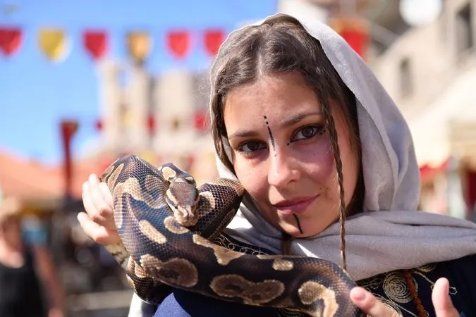 Feria Medieval de Penedono (Portugal) 