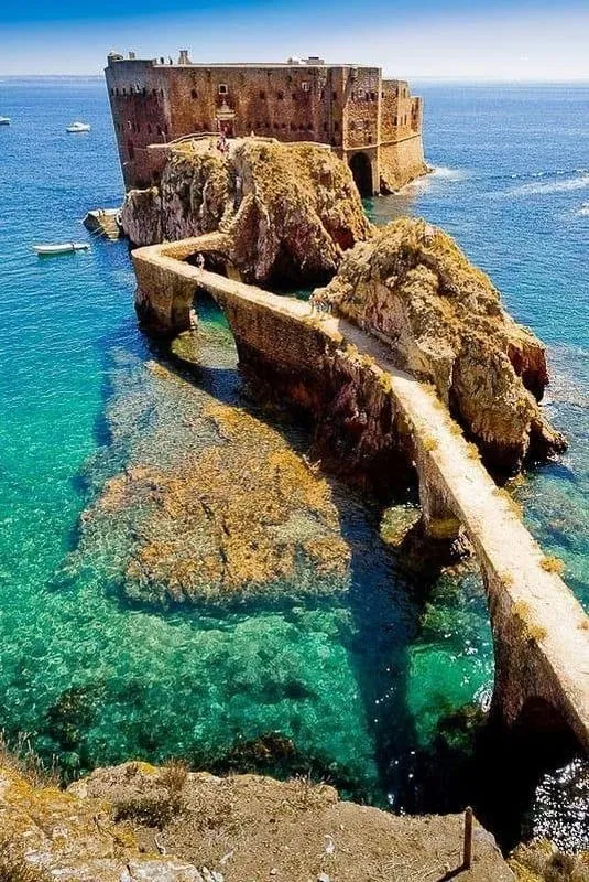 Isla Berlenga (Peniche, Portugal) | Fotos: Associação dos Amigos da Berlenga