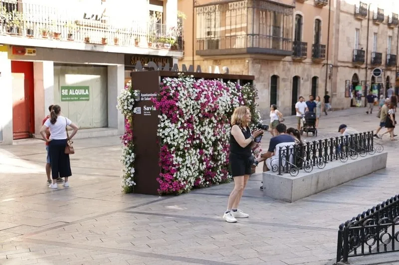 Ambiente veraniego en Salamanca. Fotos: David Sañudo.