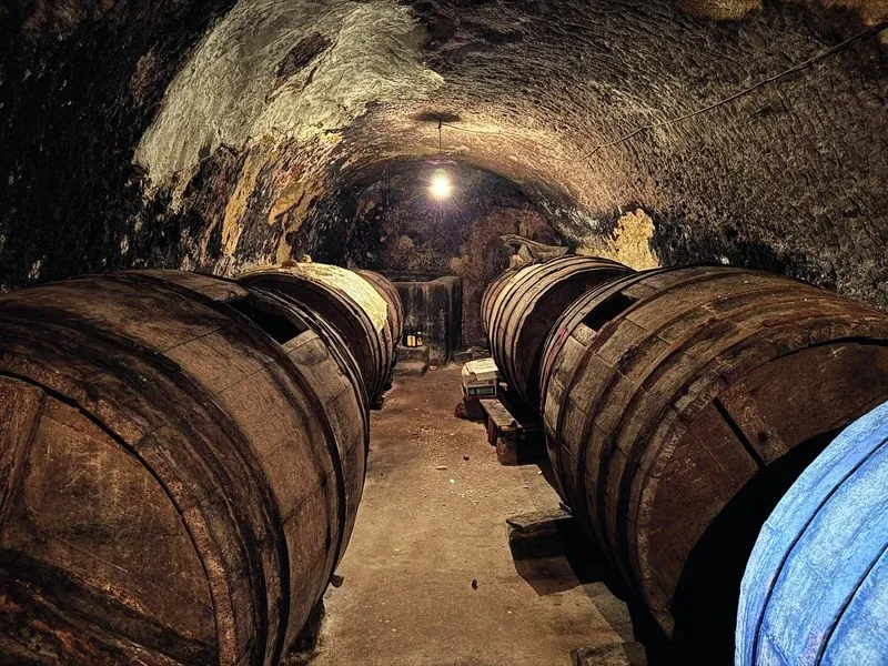 Foto 4 - La historia de las bodegas de Macotera, patrimonio bajo tierra