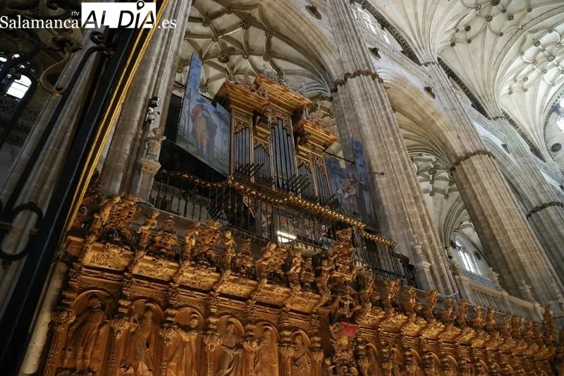 Concierto del organista Pedro Alberto Sánchez en la Catedral Nueva de Salamanca. Fotos: David Sañudo
